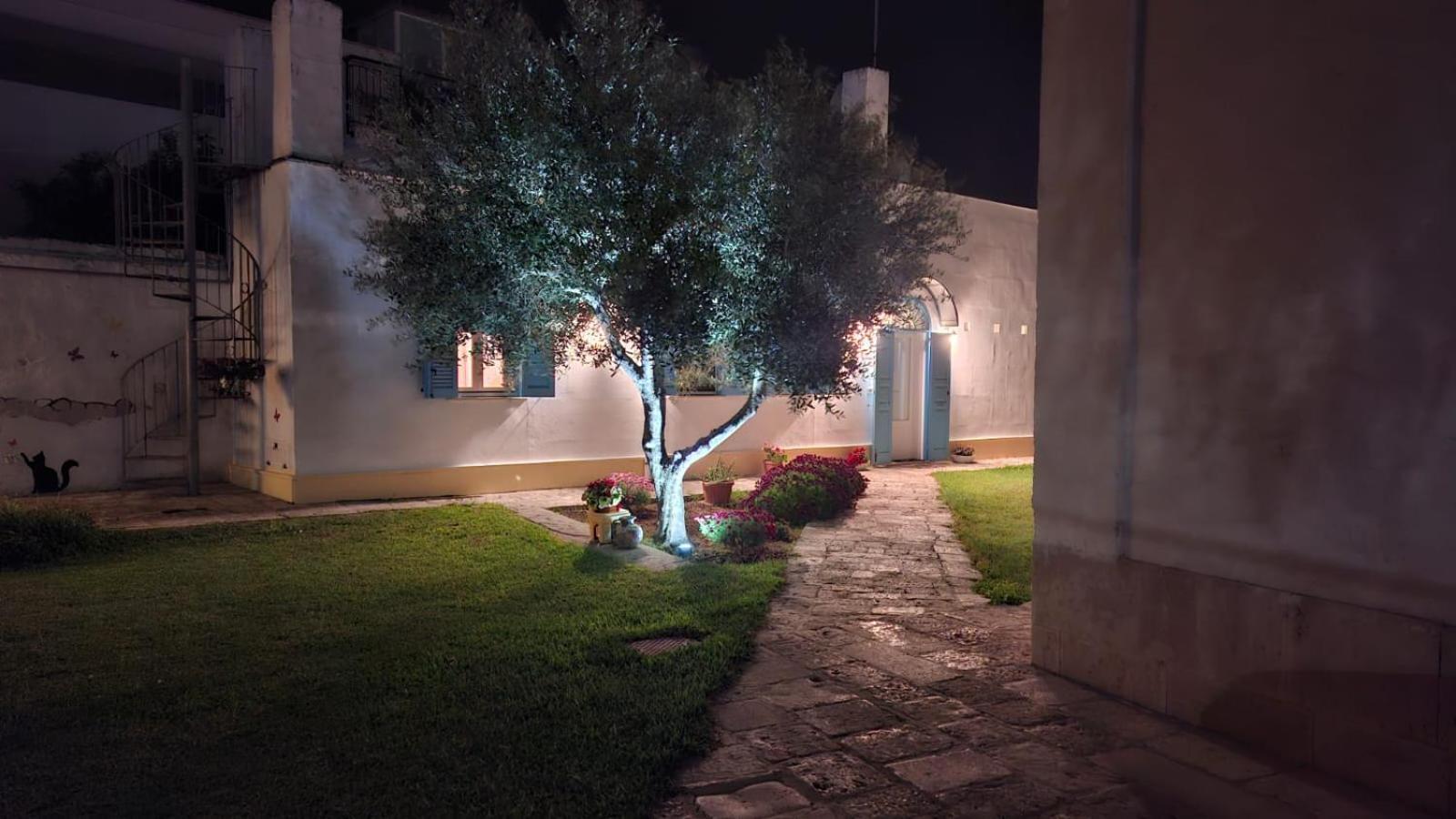 Villino Tronchetto Bianco Bed & Breakfast Mola di Bari Exterior foto